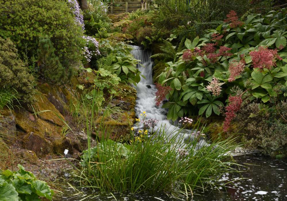 Edinburgh Botanics for kids