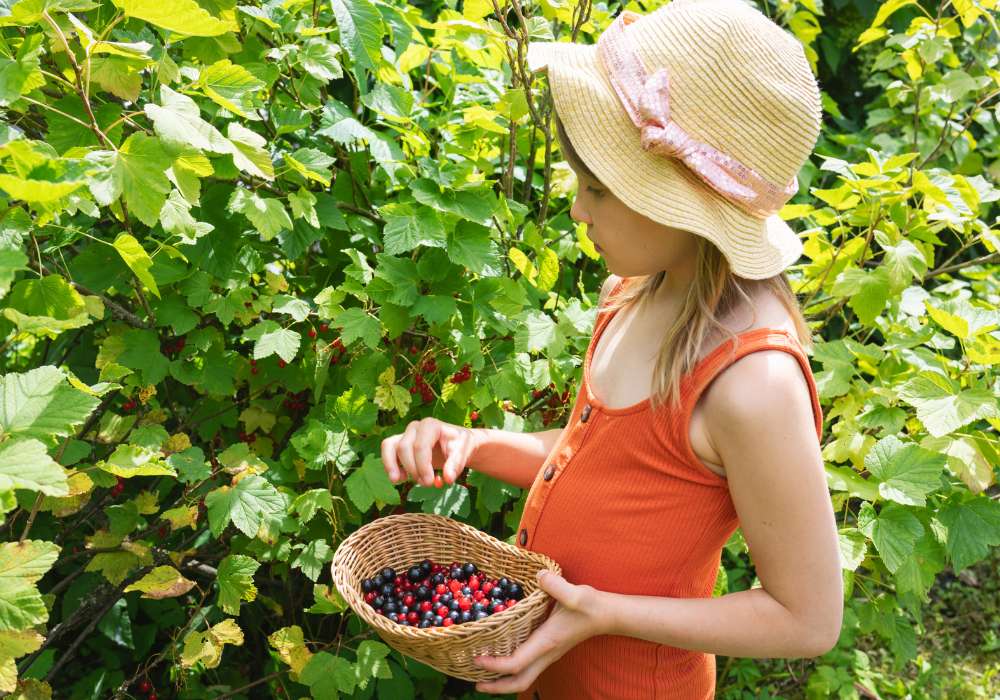 fruit picking Edinburgh