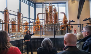 Edinburgh Gin