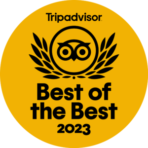 TripAdvisor 2023