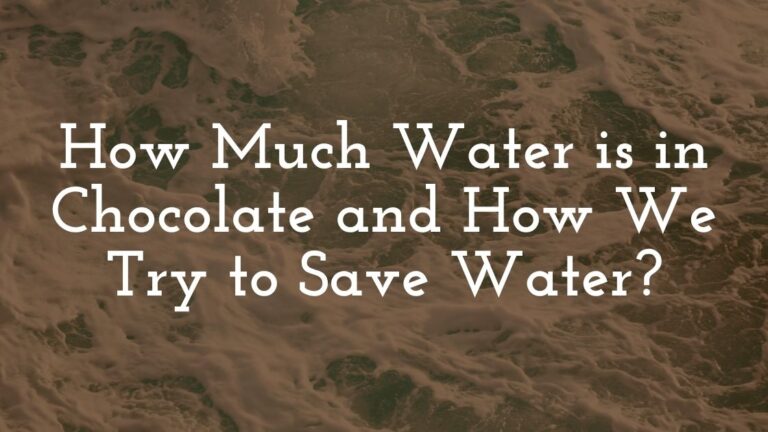 How Much Water is in Chocolate and How We Try to Save Water