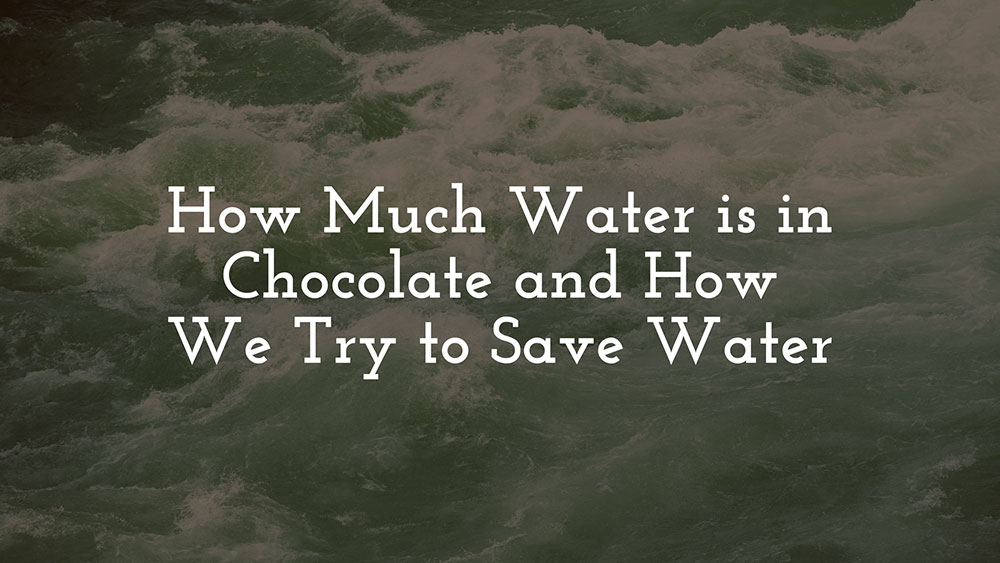 How Much Water is in Chocolate and How We Try to Save Water