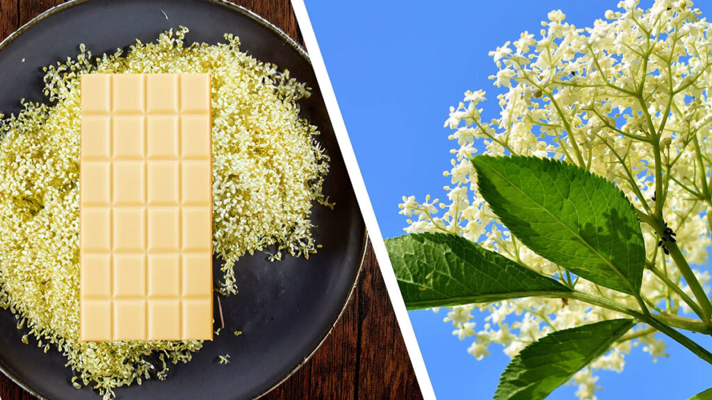 Elderflower Chocolate