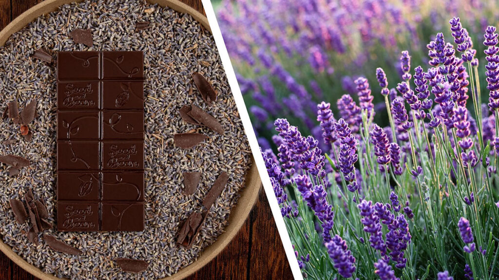 Lavender and Bean Chocolate