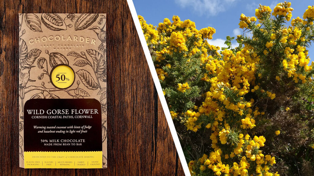 Wild Gorse Chocolate