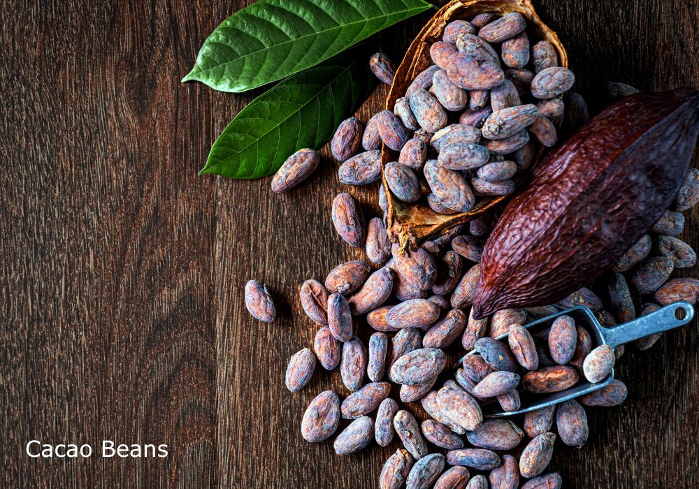 Cacao Beans and Health Benefits
