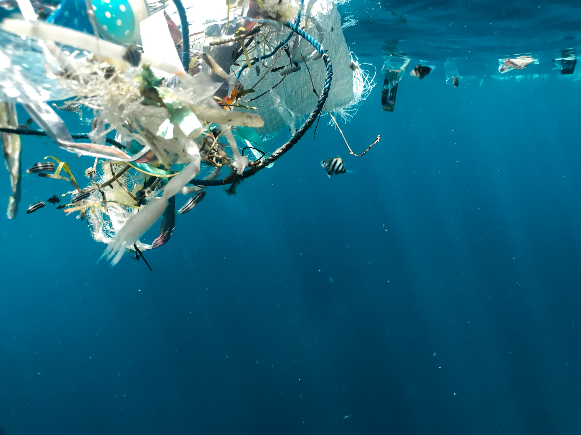 Plastic floating in the sea
