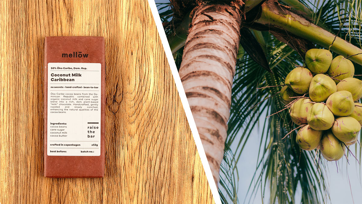 coconut carribean chocolate