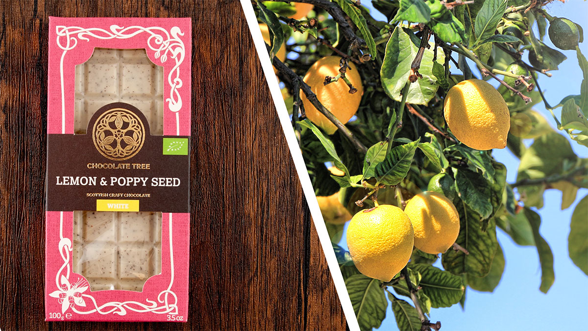 lemon poppy seed chocolate
