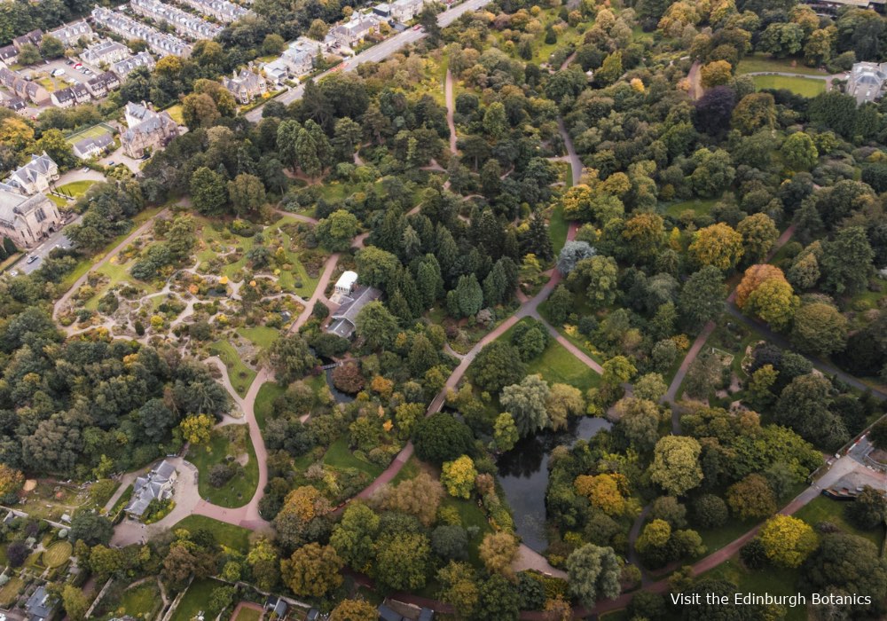 Visit the Edinburgh Botanics