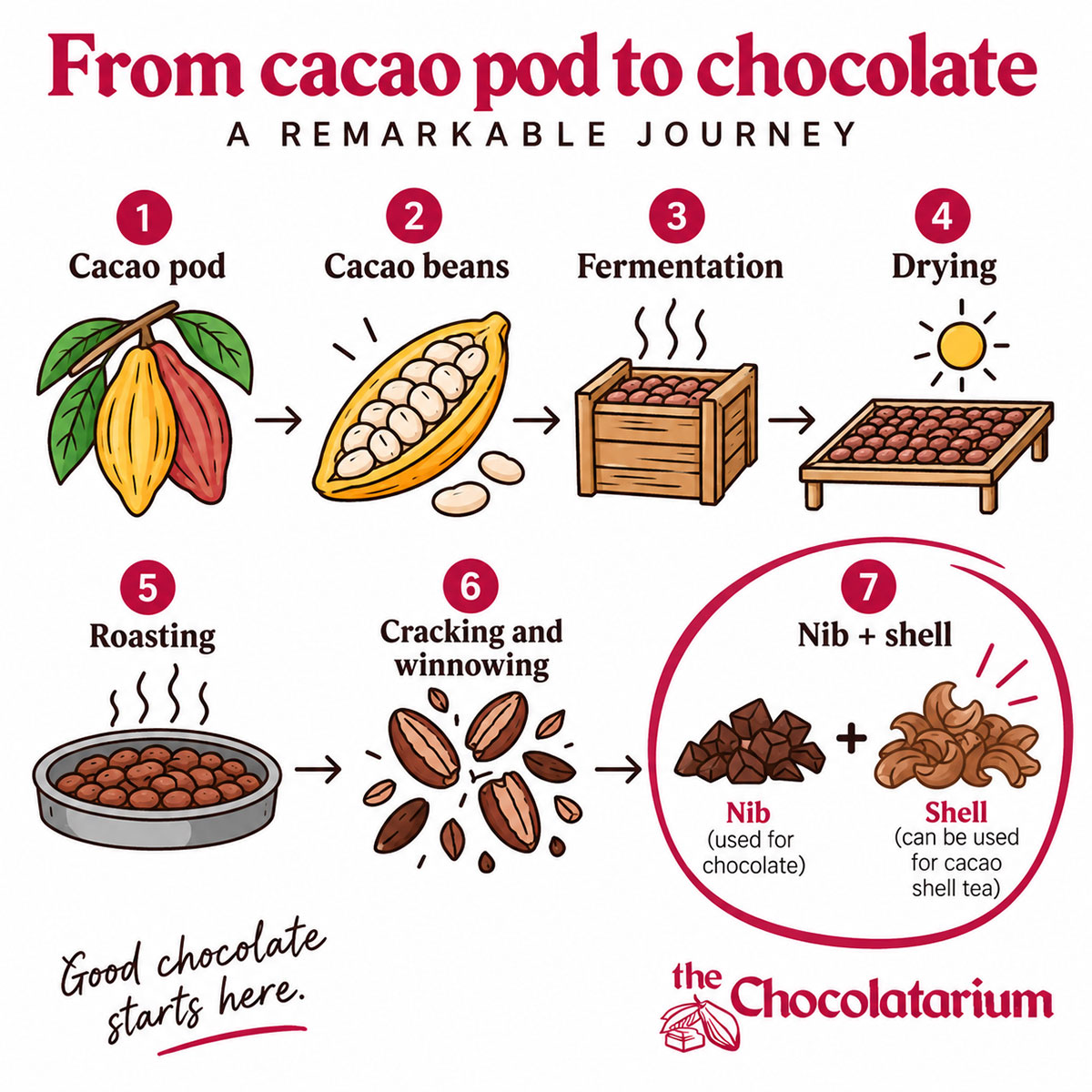 cacao shell tea