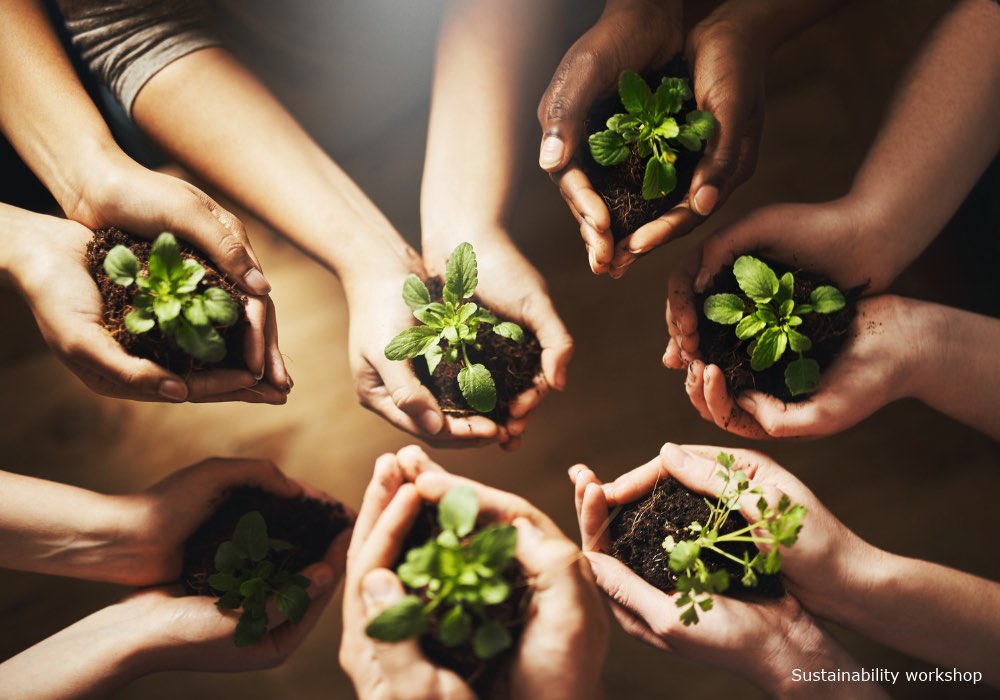 sustainability workshop